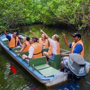 13 Day Experience in Sri Lanka - Go Lanka Tour