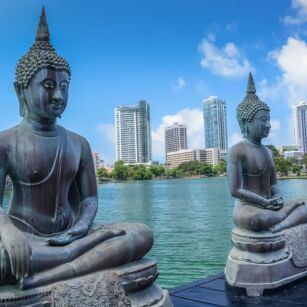09 Day Experience in Sri Lanka - Go Lanka Tour