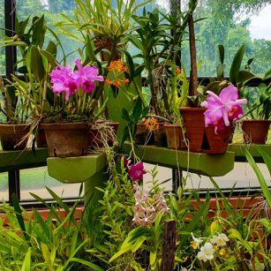 03 Day Experience in Sri Lanka - Go Lanka Tour