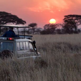 07 Day Experience in Sri Lanka - Go Lanka Tour