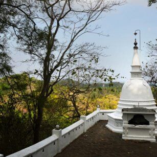 08 Day Experience in Sri Lanka - Go Lanka Tour