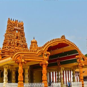06 Day Experience in Sri Lanka - Go Lanka Tour
