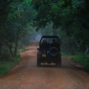 01 Day Experience in Sri Lanka - Go Lanka Tour