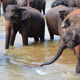02 Day Experience in Sri Lanka - Go Lanka Tour