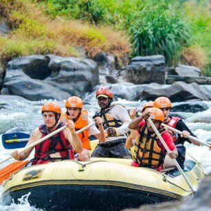 5 Day Experience in Sri Lanka - Go Lanka Tour