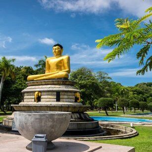 14 Day Experience in Sri Lanka - Go Lanka Tour