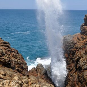 07 Day Experience in Sri Lanka - Go Lanka Tour