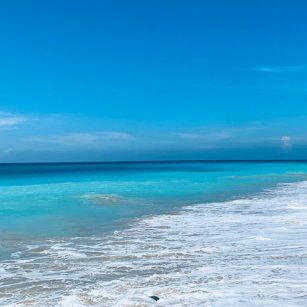 11th Day Experience in Sri Lanka - Go Lanka Tour