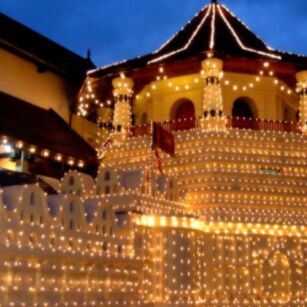 01 Day Experience in Sri Lanka - Go Lanka Tour