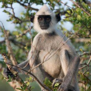 04 Day Experience in Sri Lanka - Go Lanka Tour