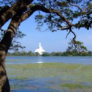 04 Day Experience in Sri Lanka - Go Lanka Tour