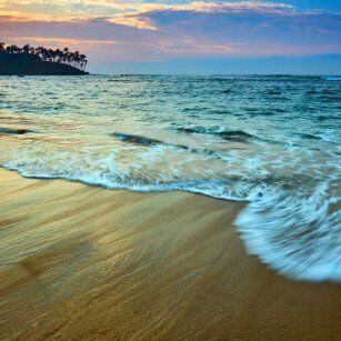 09 Day Experience in Sri Lanka - Go Lanka Tour