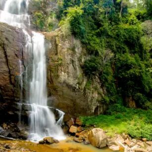 07 Day Experience in Sri Lanka - Go Lanka Tour