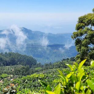 03 Day Experience in Sri Lanka - Go Lanka Tour