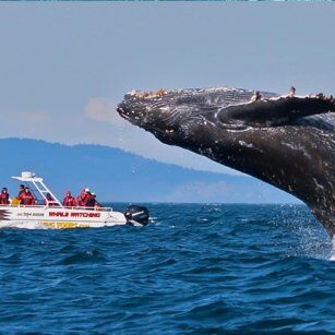 12 Day Experience in Sri Lanka - Go Lanka Tour