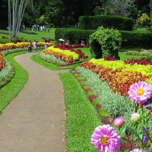 05 Day Experience in Sri Lanka - Go Lanka Tour
