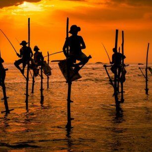 07 Day Experience in Sri Lanka - Go Lanka Tour