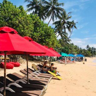 01 Day Experience in Sri Lanka - Go Lanka Tour