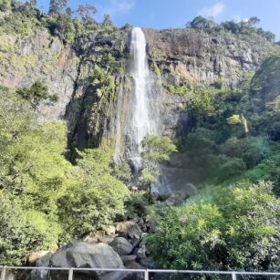 05 Day Experience in Sri Lanka - Go Lanka Tour