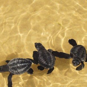02 Day Experience in Sri Lanka - Go Lanka Tour