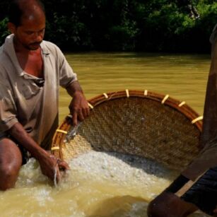 03 Day Experience in Sri Lanka - Go Lanka Tour
