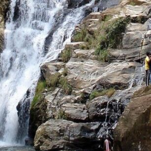 05 Day Experience in Sri Lanka - Go Lanka Tour