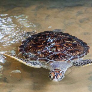 13 Day Experience in Sri Lanka - Go Lanka Tour
