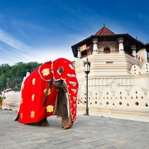 09 Day Experience in Sri Lanka - Go Lanka Tour