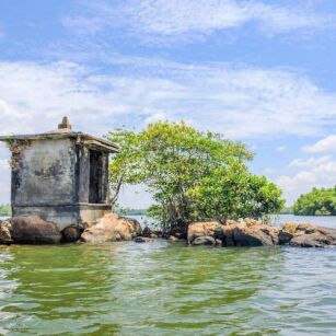 07 Day Experience in Sri Lanka - Go Lanka Tour