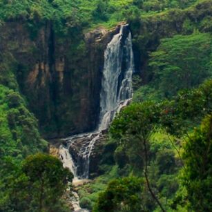 06 Day Experience in Sri Lanka - Go Lanka Tour