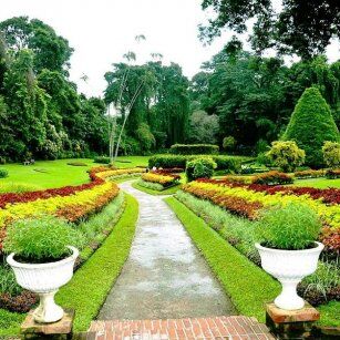 10 Day Experience in Sri Lanka - Go Lanka Tour