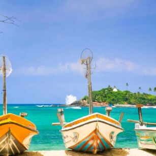 07 Day Experience in Sri Lanka - Go Lanka Tour
