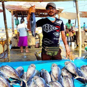 15 Day Experience in Sri Lanka - Go Lanka Tour