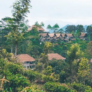 10 Day Experience in Sri Lanka - Go Lanka Tour