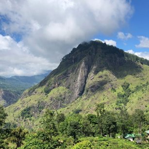 05 Day Experience in Sri Lanka - Go Lanka Tour