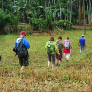 02 Day Experience in Sri Lanka - Go Lanka Tour
