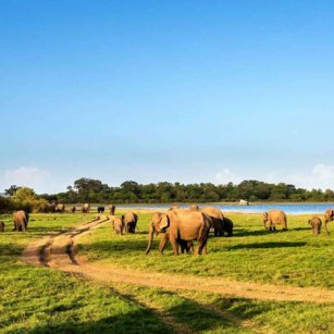 2 Day Experience in Sri Lanka - Go Lanka Tour