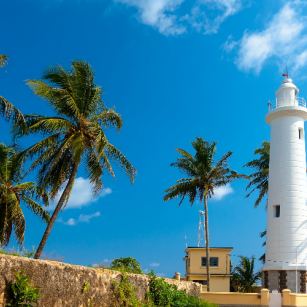 08 Day Experience in Sri Lanka - Go Lanka Tour