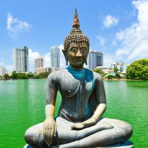 09 Day Experience in Sri Lanka - Go Lanka Tour